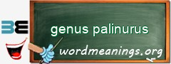 WordMeaning blackboard for genus palinurus